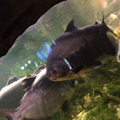 IMG 056